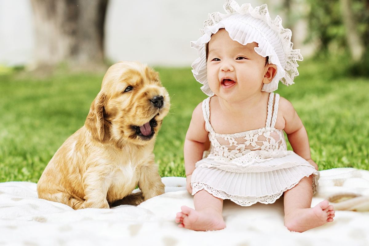 Your Body After Baby: infant, dog, animal, cute